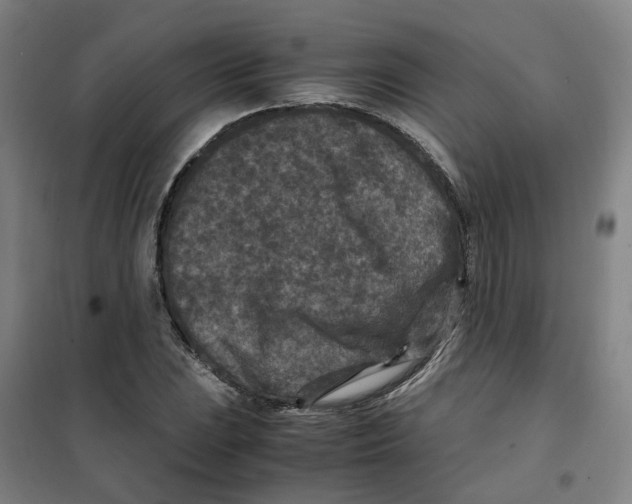 X0000100381023200807031920