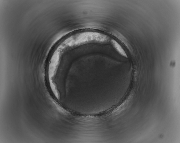 X0000100381024200807031920