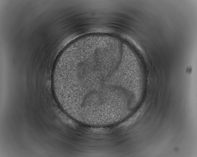 X0000100381025200807031920