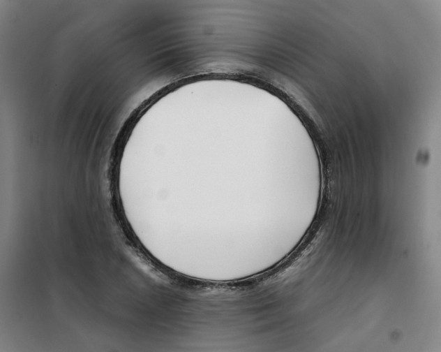 X0000100381026200807031920