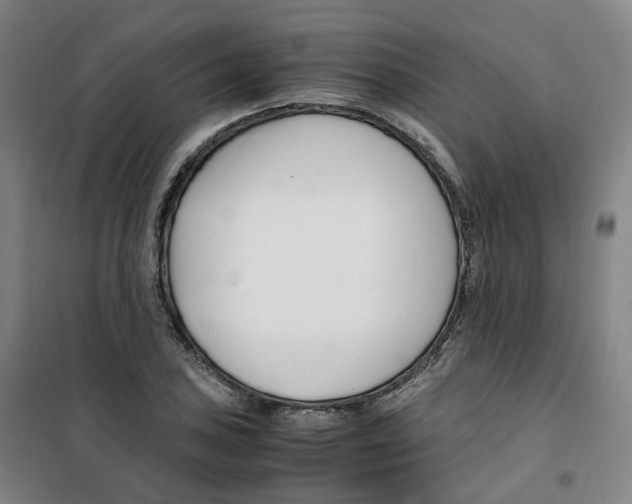 X0000100381027200807031920