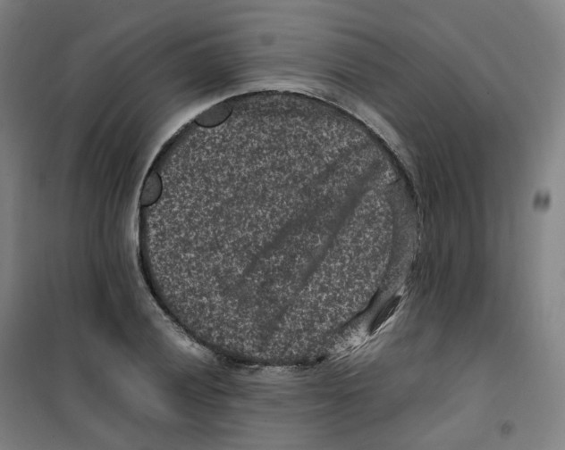 X0000100381028200807031920