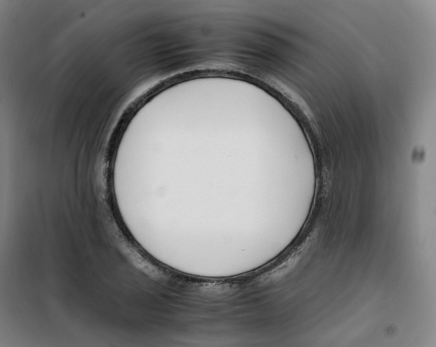 X0000100381029200807031920