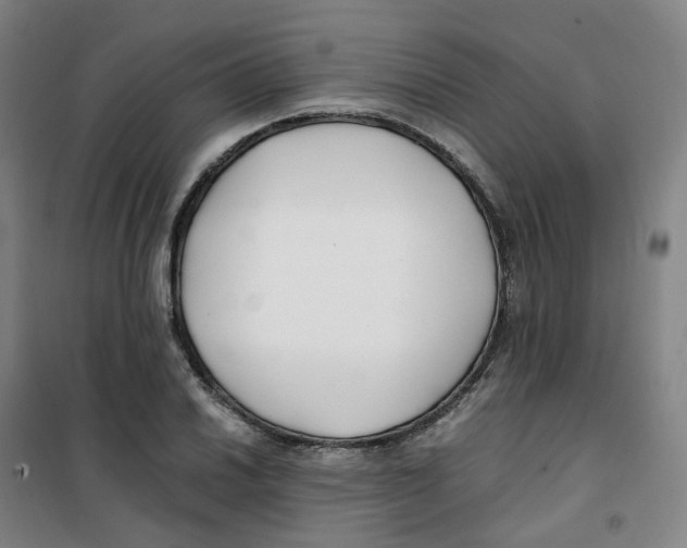 X0000100381030200807031920