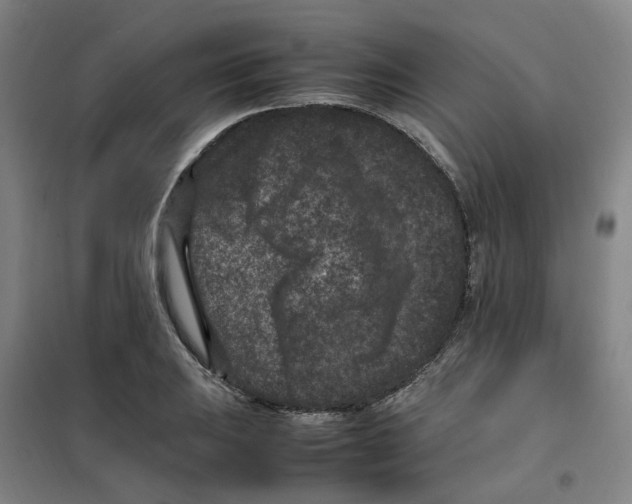 X0000100381031200807031920