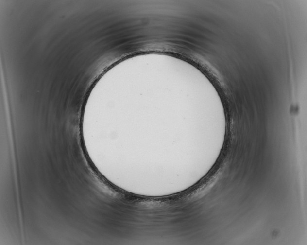 X0000100381033200807031920