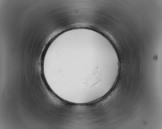 X0000100381034200807031920