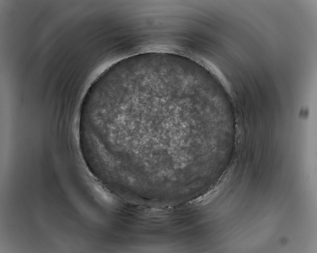 X0000100381035200807031920