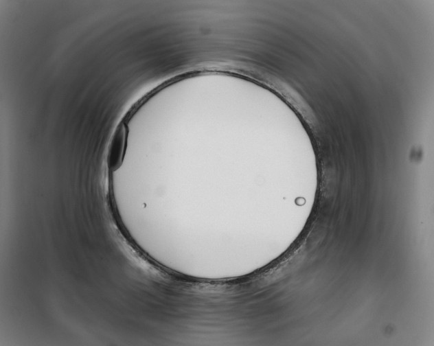 X0000100381036200807031920