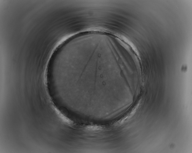 X0000100381037200807031920