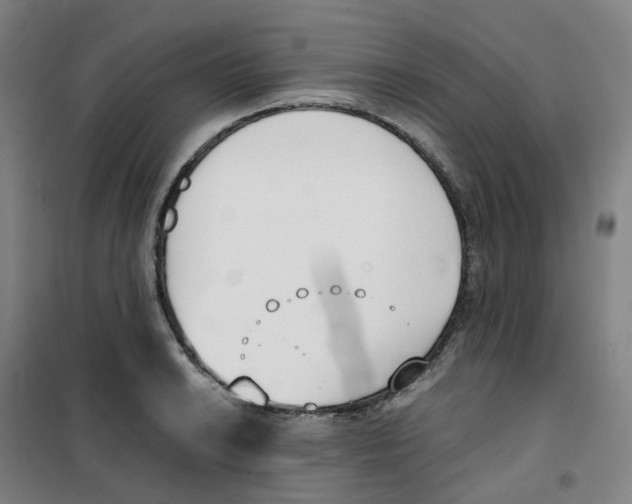 X0000100381038200807031920