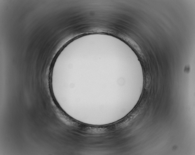 X0000100381039200807031920