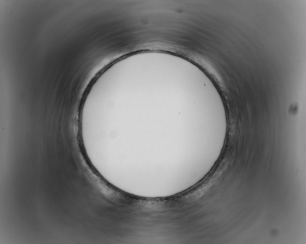 X0000100381040200807031920