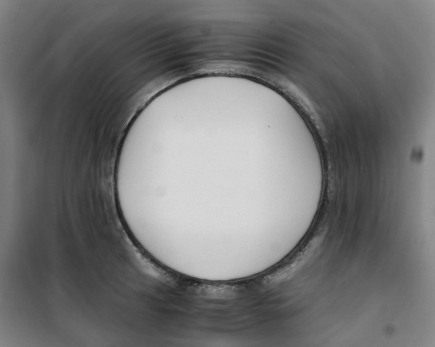 X0000100381041200807031920