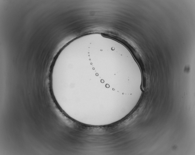 X0000100381042200807031920