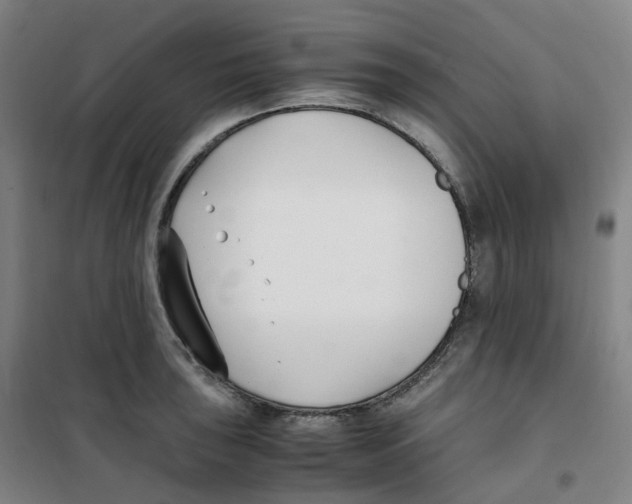 X0000100381043200807031920