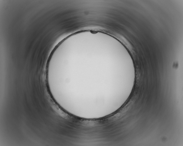 X0000100381044200807031920