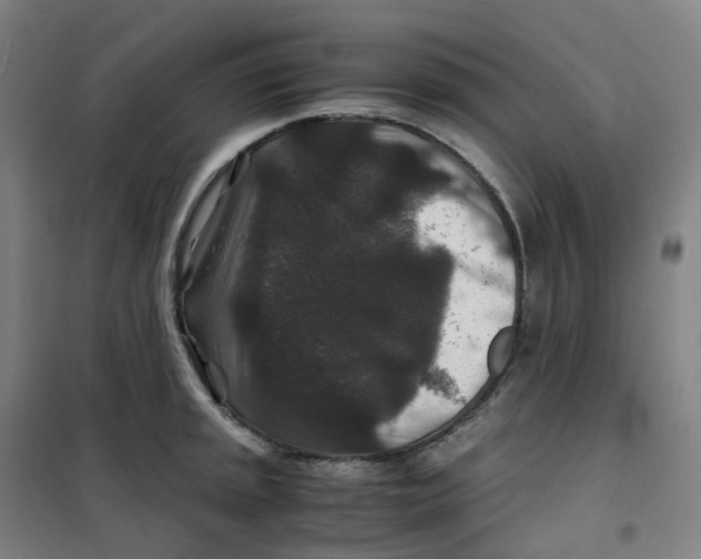 X0000100381045200807031920
