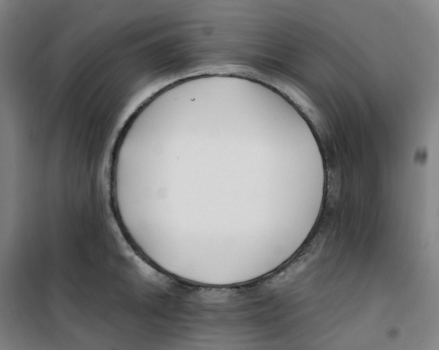 X0000100381046200807031921