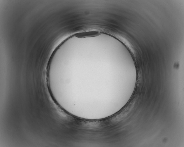 X0000100381047200807031921