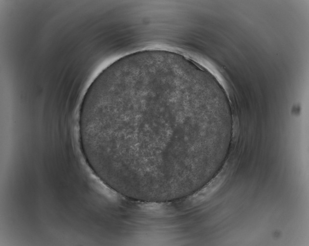 X0000100381048200807031921