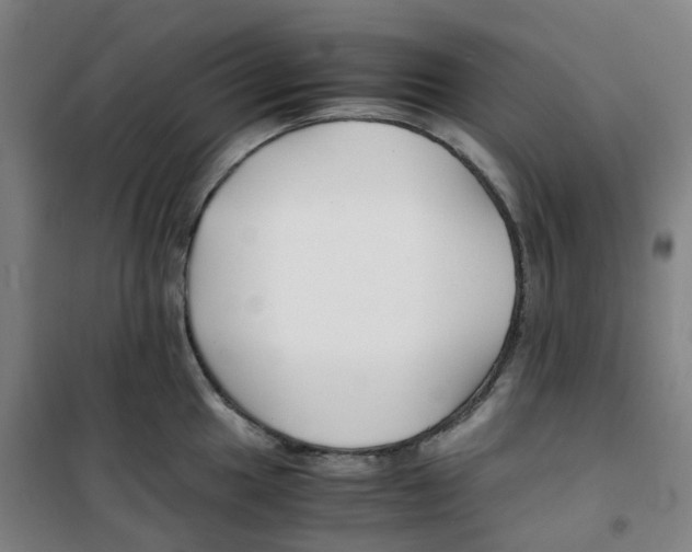 X0000100381049200807031921