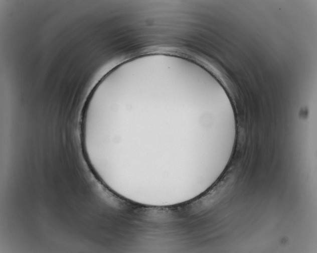 X0000100381050200807031921