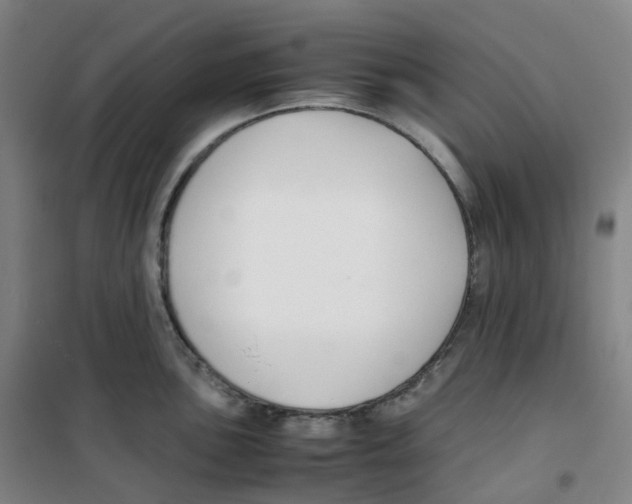 X0000100381051200807031921