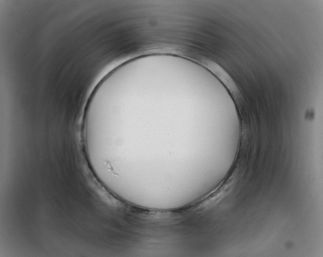 X0000100381052200807031921