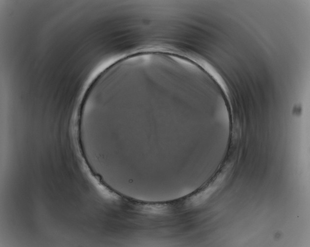 X0000100381053200807031921