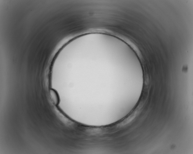 X0000100381054200807031921