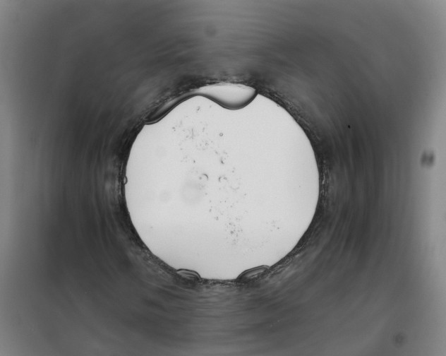 X0000100381058200807031920