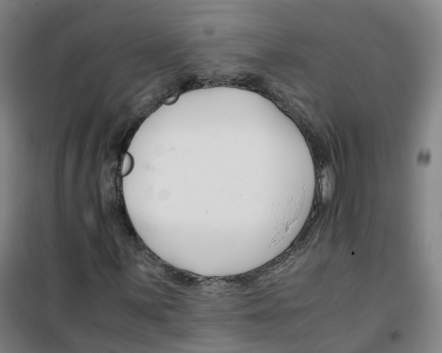 X0000100381059200807031920