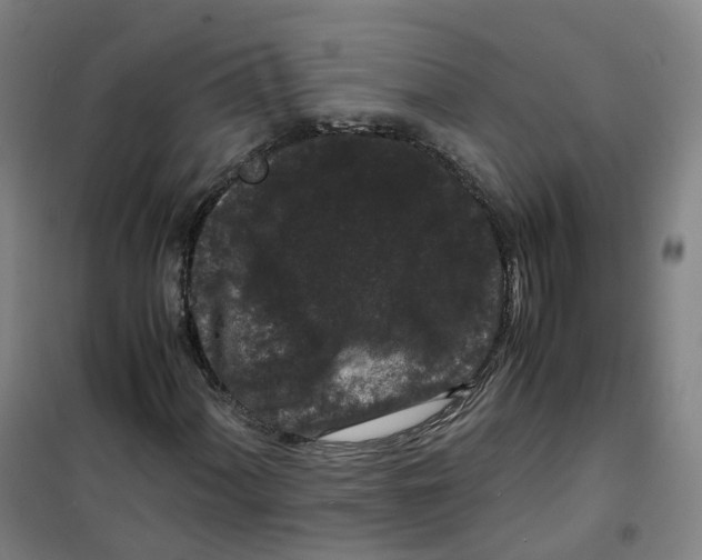 X0000100381060200807031920