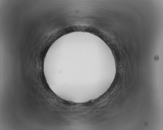 X0000100381061200807031920
