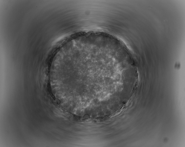 X0000100381063200807031920