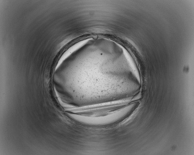 X0000100381065200807031920