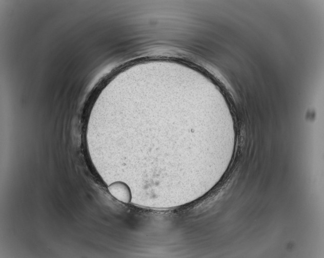 X0000100381067200807031920