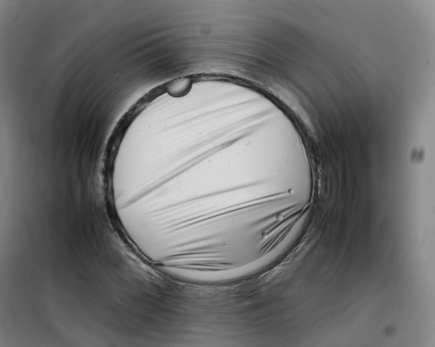 X0000100381068200807031920