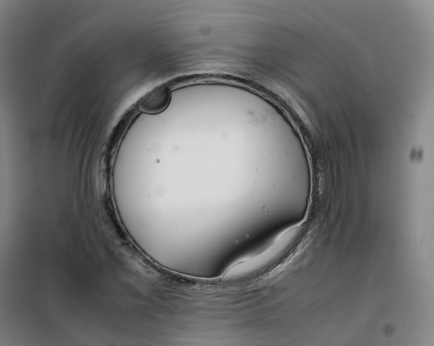 X0000100381069200807031920