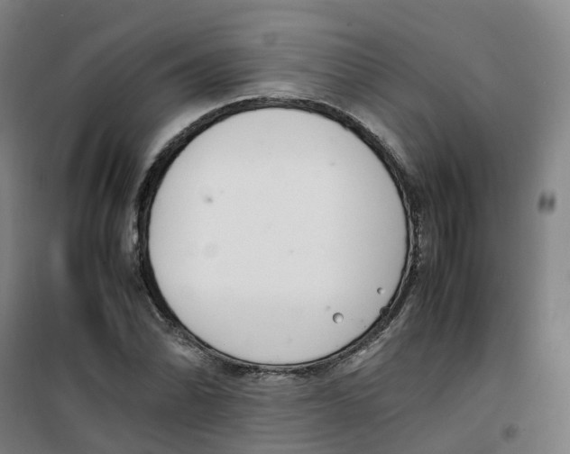X0000100381070200807031920
