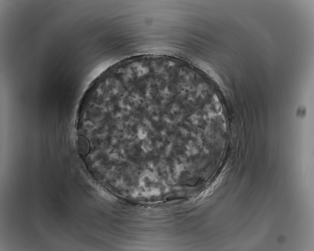X0000100381071200807031920