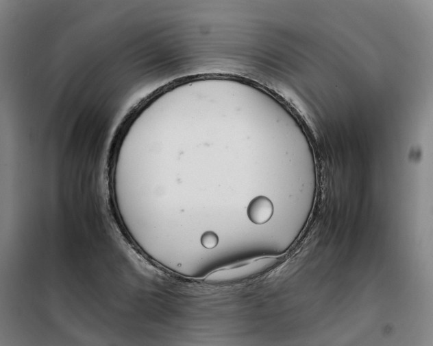 X0000100381072200807031920