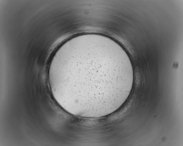X0000100381074200807031920
