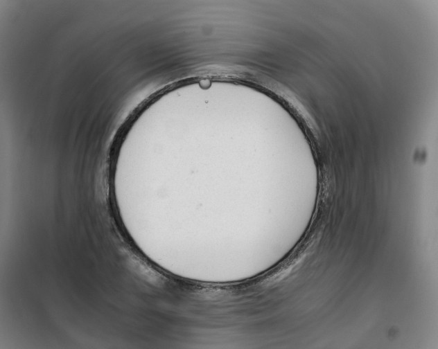 X0000100381075200807031920