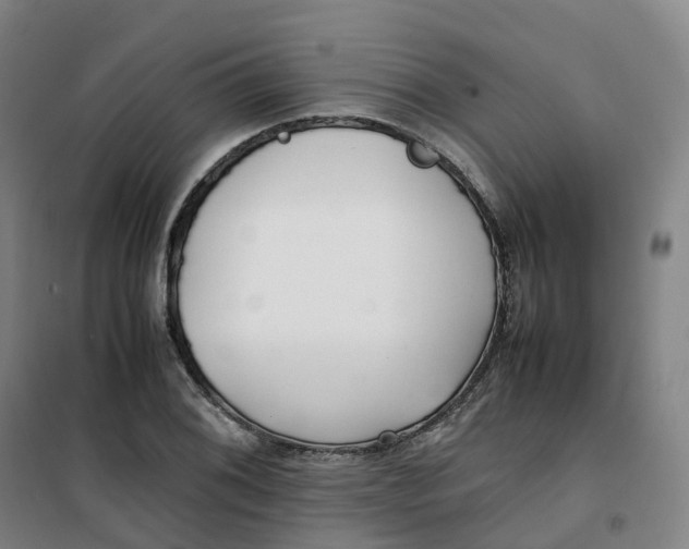 X0000100381076200807031920
