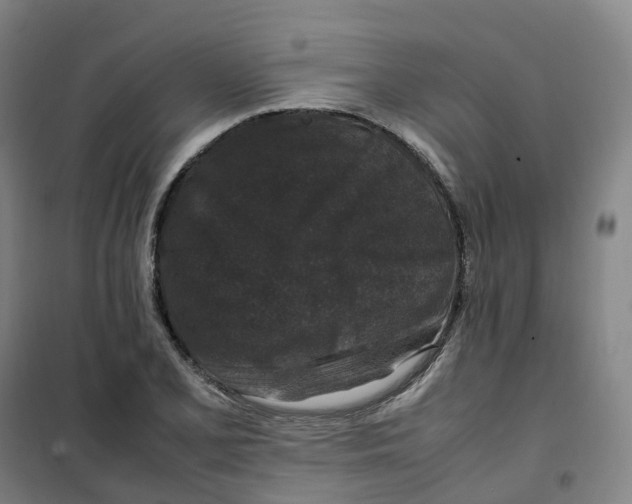 X0000100381077200807031920