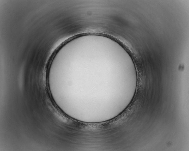 X0000100381078200807031920