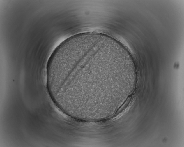 X0000100381079200807031920