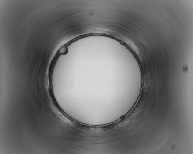 X0000100381080200807031920